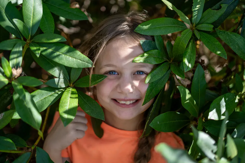 Young girl peeking out from glossy green leaves
