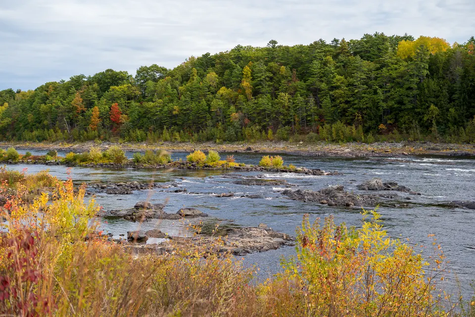 River rapids lined with fall foliage