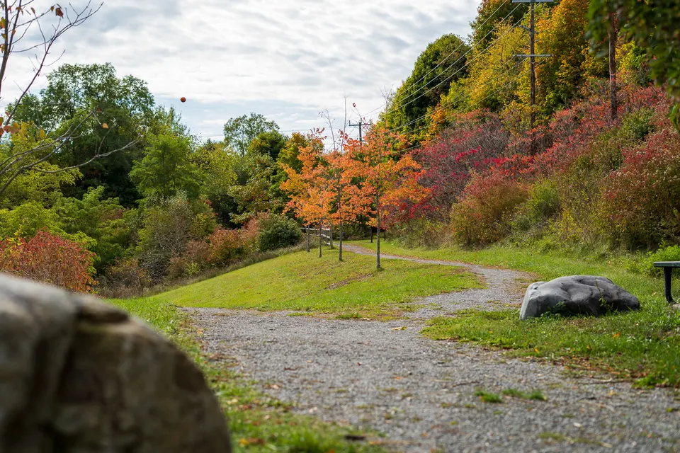 Gravel riverside path through autumn trees
