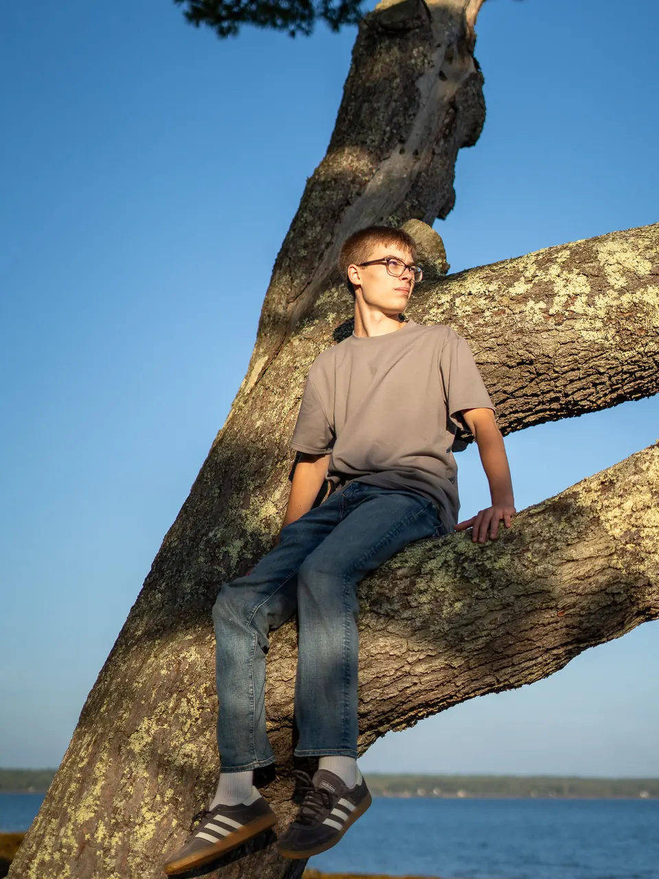 Senior sitting in a large tree above the ocean